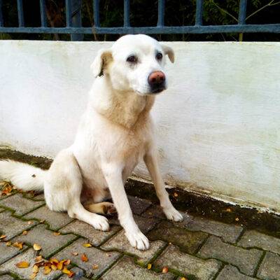 ALL PHOTOS OF THE CASPER