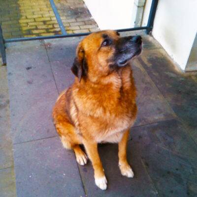 ALL PHOTOS OF THE PEACH